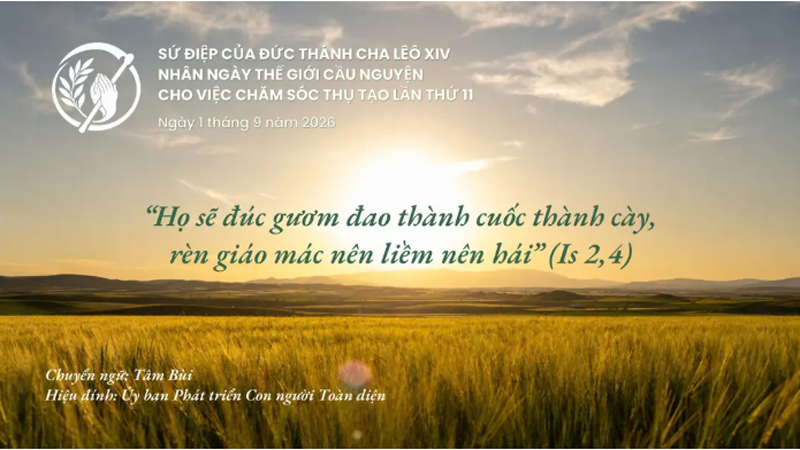 Sứ điệp Đức Thánh Cha nhân Ngày thế giới Cầu nguyện cho việc Chăm sóc thụ tạo năm 2026: “Họ sẽ đúc gươm đao thành cuốc thành cày, rèn giáo mác nên liềm nên hái”