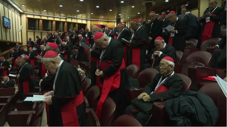 ket thuc phien hop cuoi cung cua cong nghi hong y dau tien trieu dai duc leo xiv