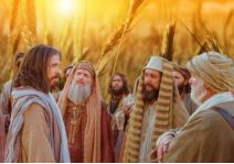 con nguoi lam chu ngay sabat 20012026   thu ba tuan 2 thuong nien