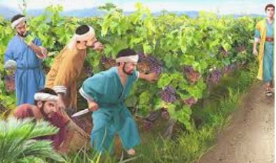 sinh hoa loi 0632026   thu sau tuan 2 mua chay