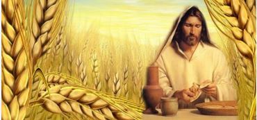 den voi toi tin vao toi 2242026   thu tu tuan 3 phuc sinh