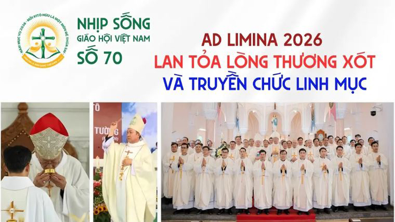 ad limina 2026 lan toa long thuong xot va truyen chuc linh muc   nhip song giao hoi viet nam so 70 1332026   2042026