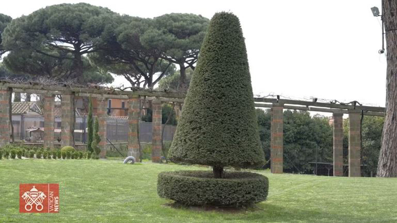 cac to chuc moi truong ra mat “lien minh toan cau” tai lang laudato si'