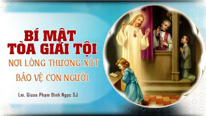bi mat toa giai toi noi long thuong xot bao ve con nguoi