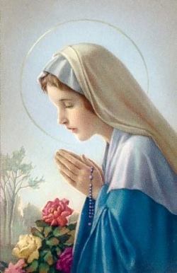 THÔNG ĐIỆP ĐỨC MẸ VỀ CHUỖI MÂN CÔI  HỘI RẤT THÁNH MÂN CÔI  Tổng Hội Hiệp  Sỹ Fatima  Mân Côi