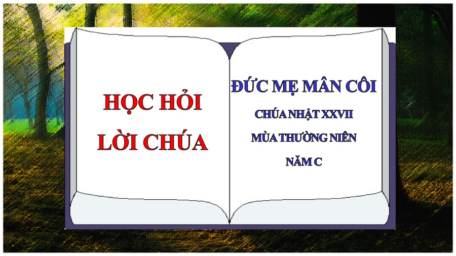 hoc hoi loi chua chua nhat 27 thuong nien nam c