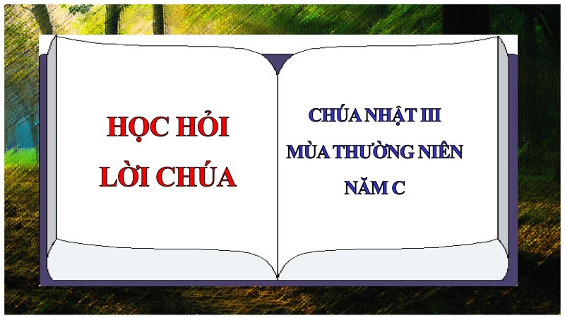 hoc hoi loi chua tuan 3 mua thuong nien nam c