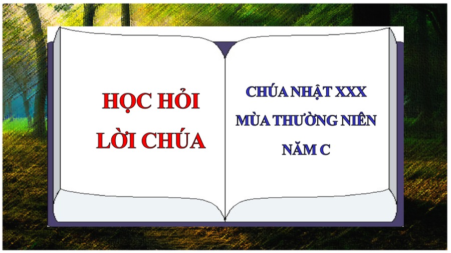 hoc hoi loi chua chua nhat 30 thuong nien nam c