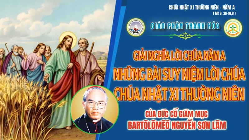 chua nhat 11 thuong nien nam a  chung ta la dan ðuoc sai ði