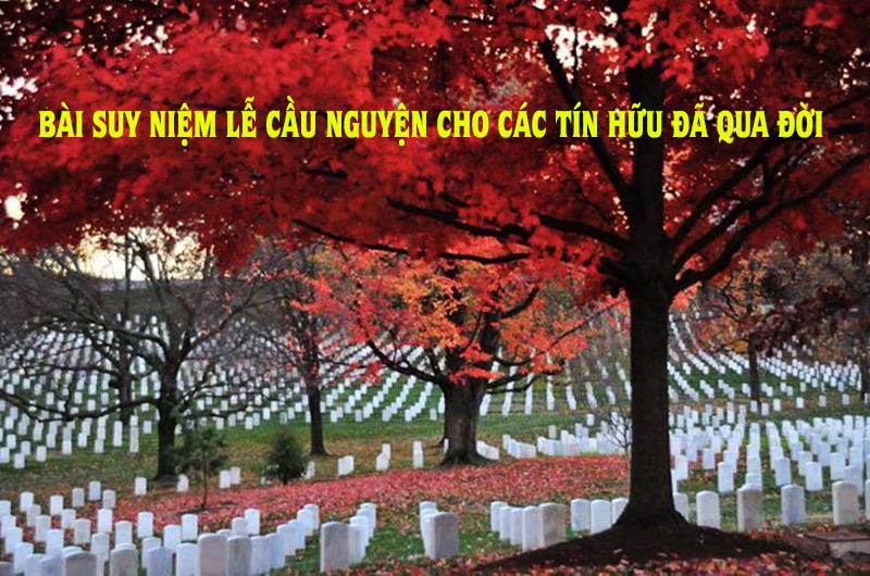 bai suy niem le cau cho cac tin huu da qua doi ???????thang 11   mua cua tinh yeu bao hieu hiep thong