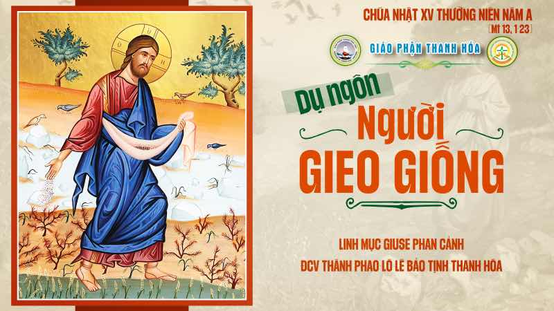 bai suy niem chua nhat xv thuong nien – nam a gia tri cua loi chua