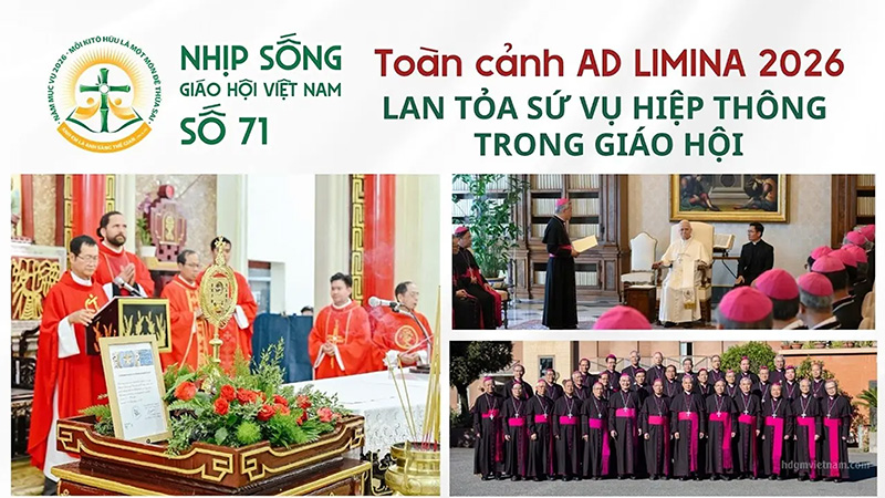 ???????toan canh ad limina 2026   lan toa su vu hiep thong trong xa hoi   nhip song giao hoi viet nam so 71 2142026   2742026???????