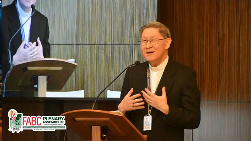 duc hong y tagle giao hoi hiep hanh hoc cach cung nhau buoc di nhu mot em be tap nhung buoc chan dau tien