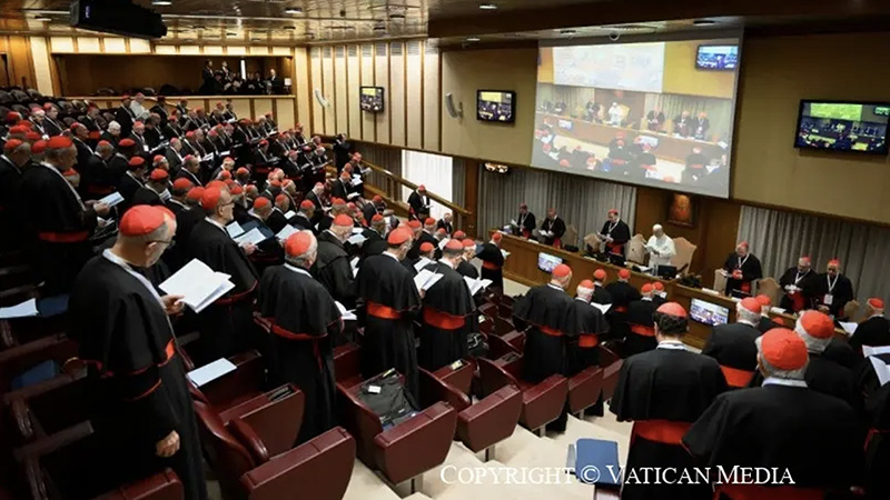 thu duc giao hoang leo xiv gui cac hong y de thong bao ve cong nghi hong y ngoai thuong lan ii se dien ra tu 26 2762026