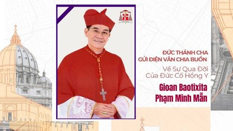 duc thanh cha gui dien van chia buon ve su qua doi cua dhy gioan baotixita pham minh man