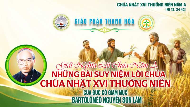 chua nhat 16 thuong nien nam a   rut ra ca cai moi cu ma xay dung cuoc doi