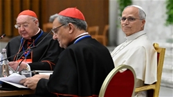 amoris laetitia “chung ta co nhieu dieu can don nhan va hoc hoi” tu cac gia dinh