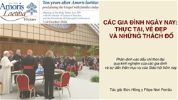 cac gia dinh ngay nay thuc tai ve dep va nhung thach do   bai chia se cua duc hong y filipe neri ferrao