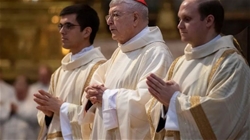 toa thanh va quoc gia thanh vatican – duc hong y ghirlanda “cai to giao trieu de phuc vu hoi thanh tot hon”