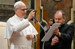 duc thanh cha leo xiv tra loi phong van cua nu ky gia elise ann allen phan iii giao trieu va tai chinh cua vatican