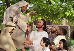 con nguoi den tim va cuu 02112025 – chua nhat 31 thuong nien nam c