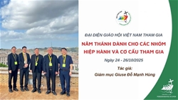 dai dien giao hoi viet nam tham gia nam thanh danh cho cac nhom hiep hanh va co cau tham gia duoc cu hanh tai vatican tu 24 26102025