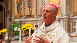 chuyen tong du tho nhi ky cua duc thanh cha leo xiv co hoi hoi sinh tinh than dai ket cua cong dong vaticano ii