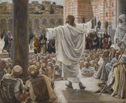 lu tre ngoi ngoai cho 12122025   thu sau tuan 2 mua vong