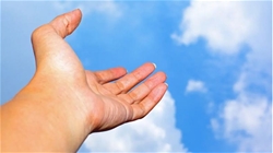 hoi nghi seek26 khi giao hoi cung nguoi tre “huong len cao”