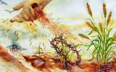 hat giong 28012026   thu tu tuan 3 thuong nien