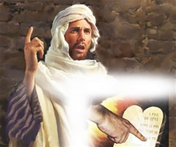 dieu ran dung dau 1332026   thu sau tuan 3 mua chay