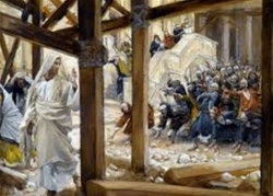 toi hang huu 2632026   thu nam tuan 5 mua chay