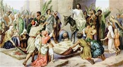 ong nay la ai vay 2832026   chua nhat le la nam a