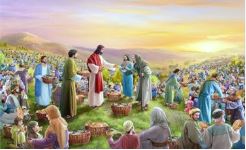 an bao nhieu tuy y 1742026   thu sau tuan 2 phuc sinh