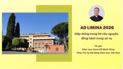 ad limina 2026 hiep thong trong loi cau nguyen dong hanh trong su vu
