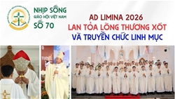 ad limina 2026 lan toa long thuong xot va truyen chuc linh muc   nhip song giao hoi viet nam so 70 1332026   2042026