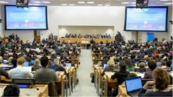 nhung nguoi bao ve su song tiep tuc gianh thang loi tai hoi nghi lien hiep quoc