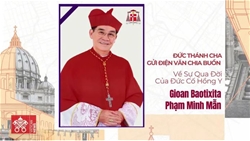 duc thanh cha gui dien van chia buon ve su qua doi cua dhy gioan baotixita pham minh man