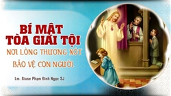 bi mat toa giai toi noi long thuong xot bao ve con nguoi