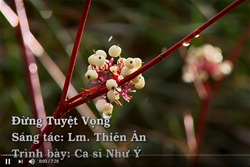 dung tuyet vong – trinh bay ca si nhu y