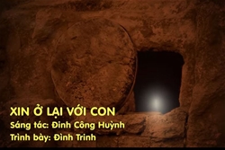 xin o lai voi con – trinh bay dinh trinh