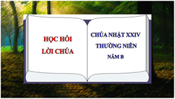 hoc hoi loi chua chua nhat xxiv thuong nien   nam b