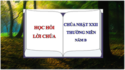 hoc hoi loi chua chua nhat xxii thuong nien   nam b