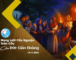 ???????tong do cau nguyen ngay 12112023