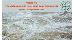 thong tin ve caritas cac giao phan dang ganh chiu bao lut