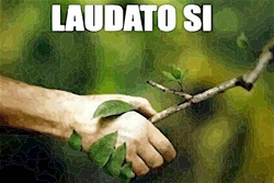 giao duc sinh thai trong laudato si'