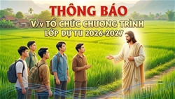 thong bao vv to chuc chuong trinh lop du tu nam nam 2026 2027