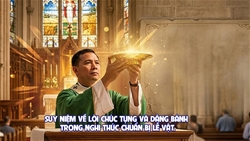 hoa mau ruong dat va lao cong cua con nguoi