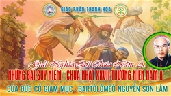 chua nhat 27 thuong nien nam a  dan chua la vuon nho