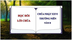 hoc hoi loi chua chua nhat xxvi thuong nien   nam b